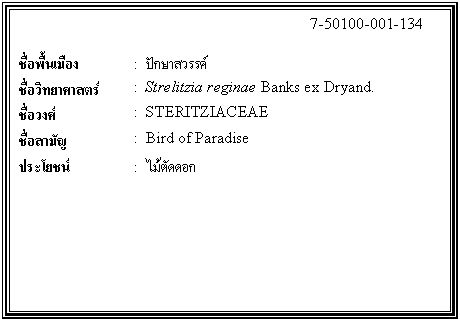 กล่องข้อความ: 7-50100-001-134 ชื่อพื้นเมือง : ปักษาสวรรค์ ชื่อวิทยาศาสตร์ : Strelitzia reginae Banks ex Dryand. ชื่อวงศ์ : STERITZIACEAE ชื่อสามัญ : Bird of Paradise ประโยชน์ : ไม้ตัดดอก